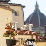 Roofscape View